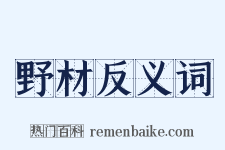 野材反义词是什么意思的图片
